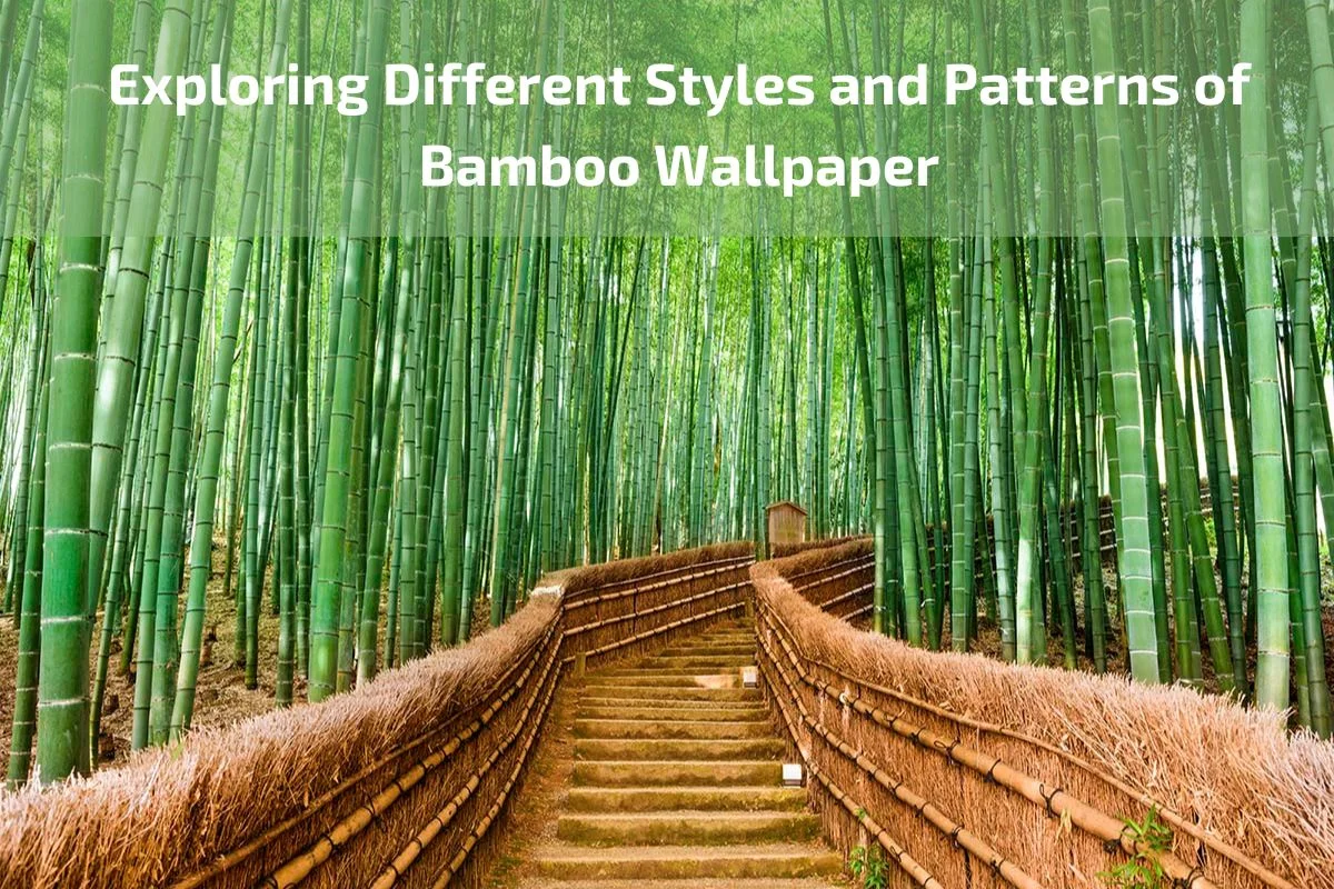 bamboo wallpaper